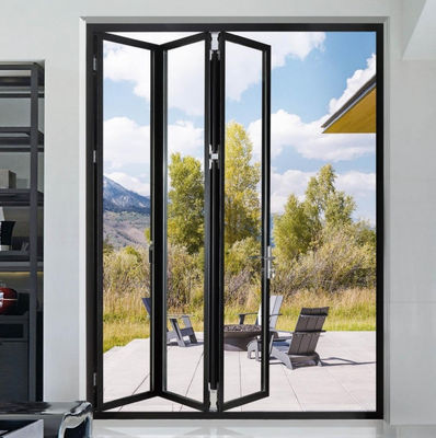 Güvenlik Tempered Glass Siyah Alüminyum İki Katlı Kapılar Kasırga Direnci