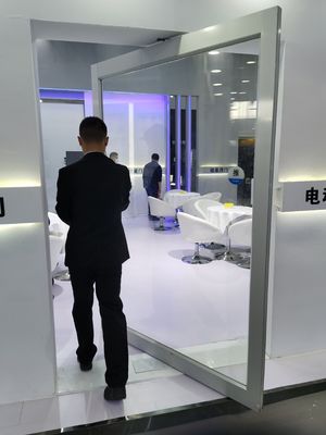 Slim Frame Alüminyum Pivot Kapısı Tempered Clear Glass Giriş Pivot Kapısı