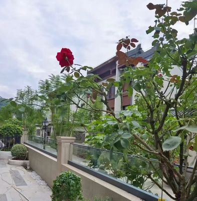 Esnek Alüminyum U Kanal Cam Çit Dış Çerçevesiz Cam Balustrası