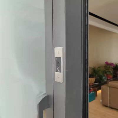 Paslanmaz Çelik İç Alüminyum Pivot Kapısı Açık Cam ve 1.8mm Çerçeve Kalınlığı